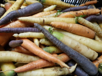 Carottes arc en ciel