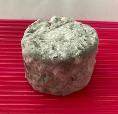 Crottin extra sec de chèvre