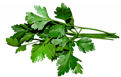 Persil - bouquet