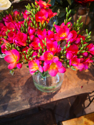 Bouquet de freesia
