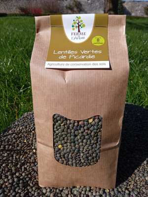Lentilles vertes