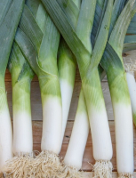 Poireau - botte entre 1kg et 1.1kg