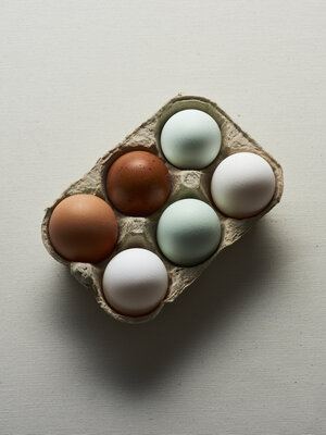 Oeufs de couleur x6