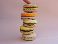 Prodigieusement chocolat x12