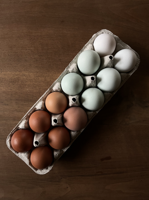 Oeufs de couleur x12