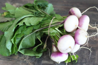 Botte de navets bio (la pièce)