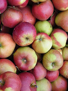 Pommes melrose