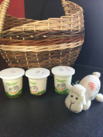 Yaourt fermier de brebis sur lit de miel