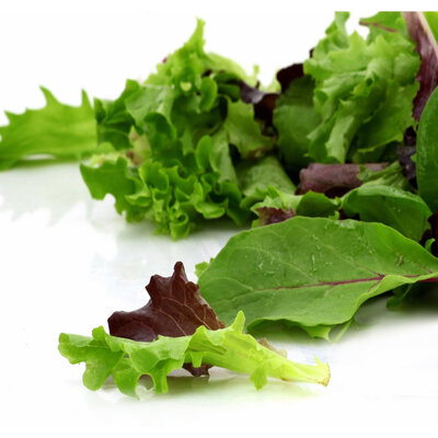 Mesclun - mélange jeunes pousses de salade