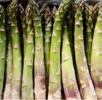 Asperges vertes anciennes bio - colis de 3kg