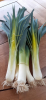 Poireaux bio déclassés