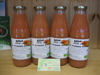 Pur jus de pomme-banane 75 cl