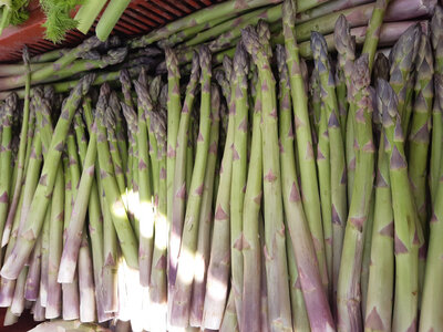 Asperge verte