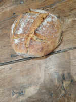 Pain grand-épeautre tranché