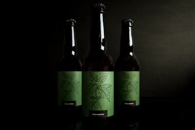 Gose menthe 33cl