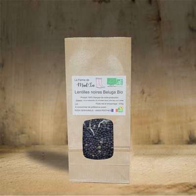 Lentilles noires beluga bio