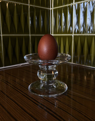 Oeuf marron x1