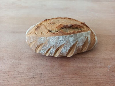 T 80 blés anciens 500g