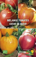 Plant de tomate type coeur de boeuf