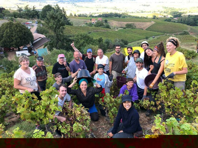Beaujolais blanc 2023