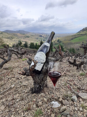 Terroir montrichard 2018 médaille d'argent