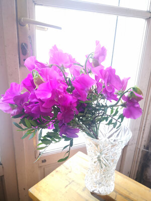 Bouquet de pois de senteur