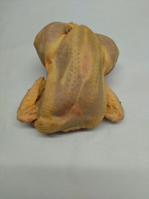 Poulet