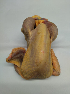 Pintade