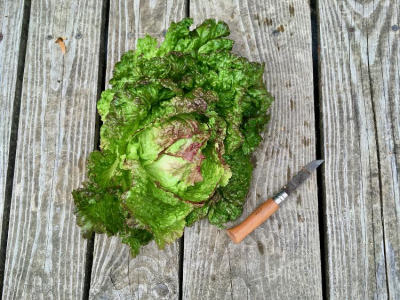 Salade rouge