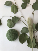 Eponge konjac - tous types de peaux