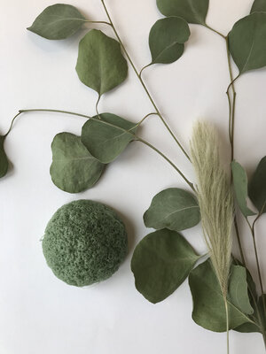 Eponge konjac - tous types de peaux