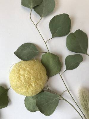 Eponge konjac - peaux mixtes ou grasses