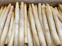 Asperge blanche bio