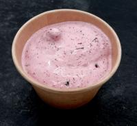 Sorbet plein fruit myrtilles - pot 10cl