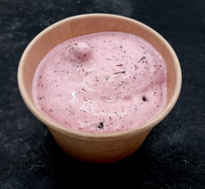 Sorbet plein fruit myrtilles - pot 10cl