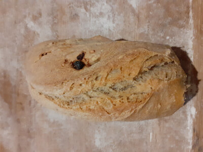 Pain aux fruits secs et graines bio