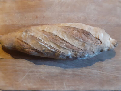 Pain campagne bio 500g