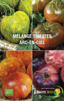 Plant de tomate type arc en ciel
