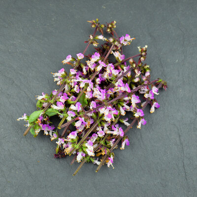 Fleurs de basilic