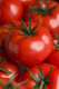 Tomates montfavet f1 - image 2