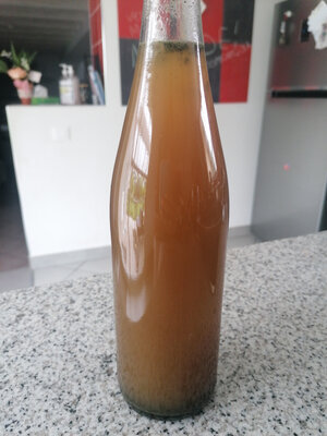Kombucha à la spiruline