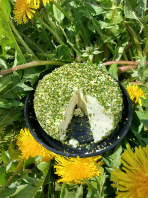 Rond frais à l'ail et fines herbes