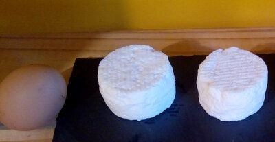 Mi frais : 2 crottins de chèvre, bio