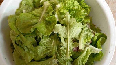 Sachet de salade mix prêt à l'emploi