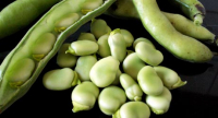 Fève fraiche à écosser