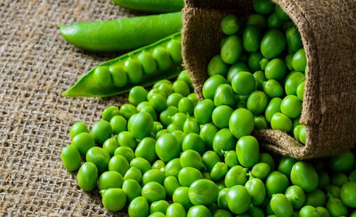 Petit pois