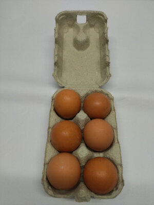 Oeufs