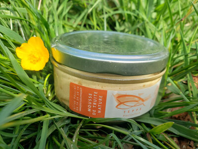 Mousse de truite nature