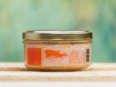 Rillettes de truite au citron