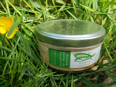 Rillettes de truite au basilic